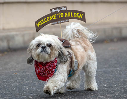 Toby's Pet Parade & Fair @ Washington Avenue | Golden | Colorado | United States