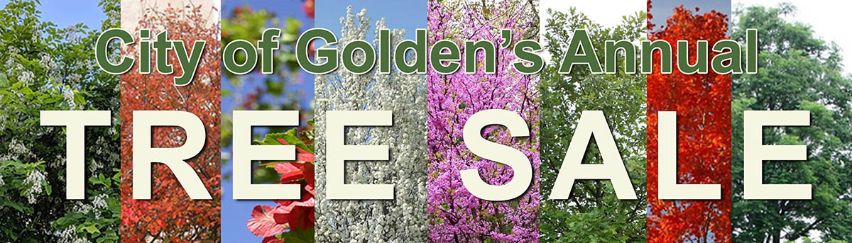 Golden Annual Tree Sale opens March 1